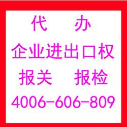 專業代理各類進出口業務，助力企業高效拓展國際市場